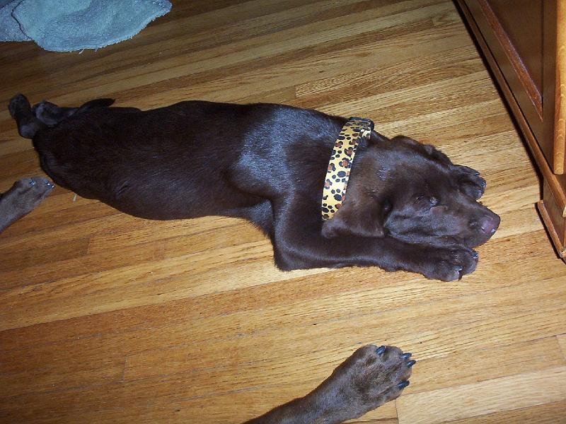 Picture_0037.JPG