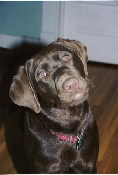 mollyhuh.jpg
