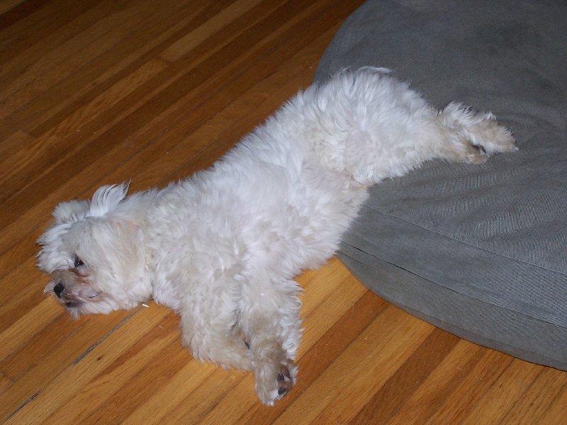 tuffypillow.jpg